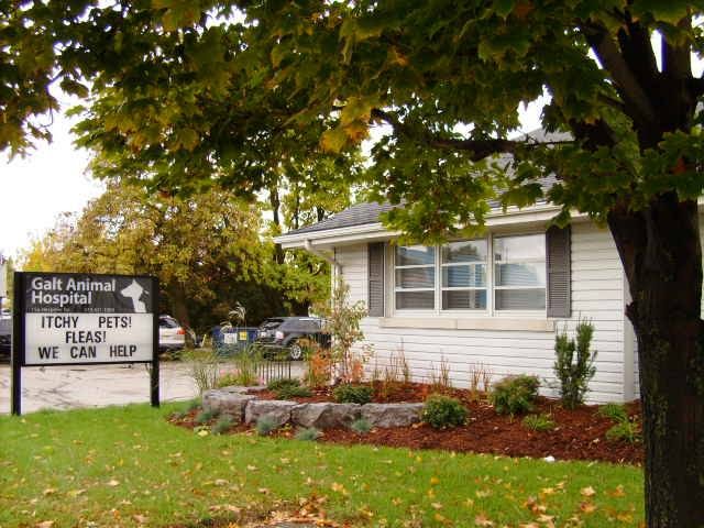 Galt Animal Hospital - Cambridge , Canada