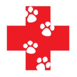 Animal Clinic Of Rockford - Rockford , United States