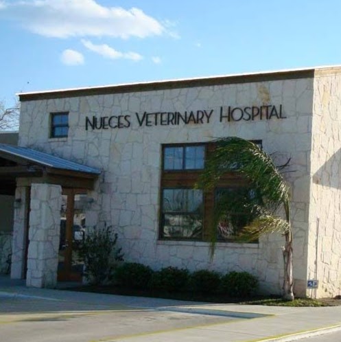 Nueces Veterinary Hospital - Corpus Christi , United States