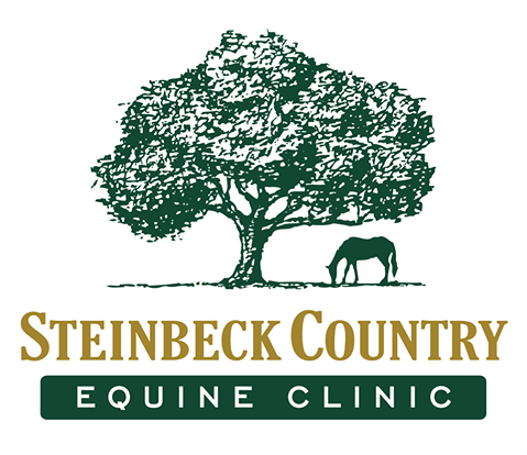 Steinbeck Peninsula Equine Clinics - Salinas , United States