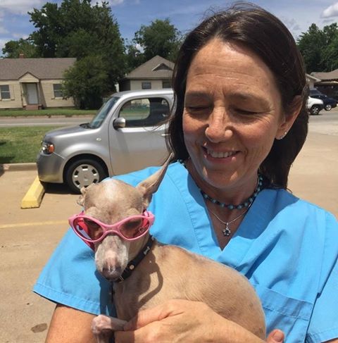 Veterinary Home Healthcare - Oklahoma City , United States