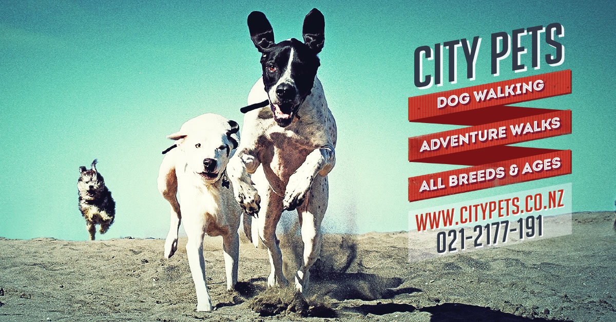 Citypets Canine Adventures - Royal Oak , New Zealand