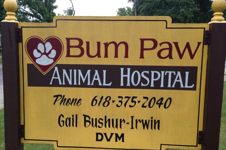 Bum Paw Animal Hospital - Grayville , United States