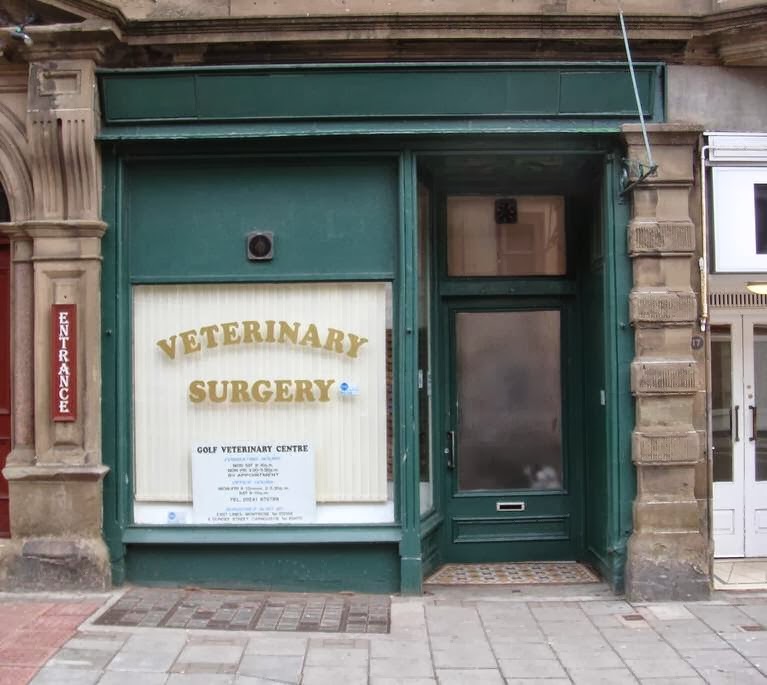 The Golf Veterinary Practice - Arbroath , United Kingdom