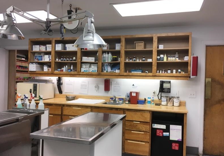 Abc Veterinary Hospital Pacific Beach - San Diego , United States