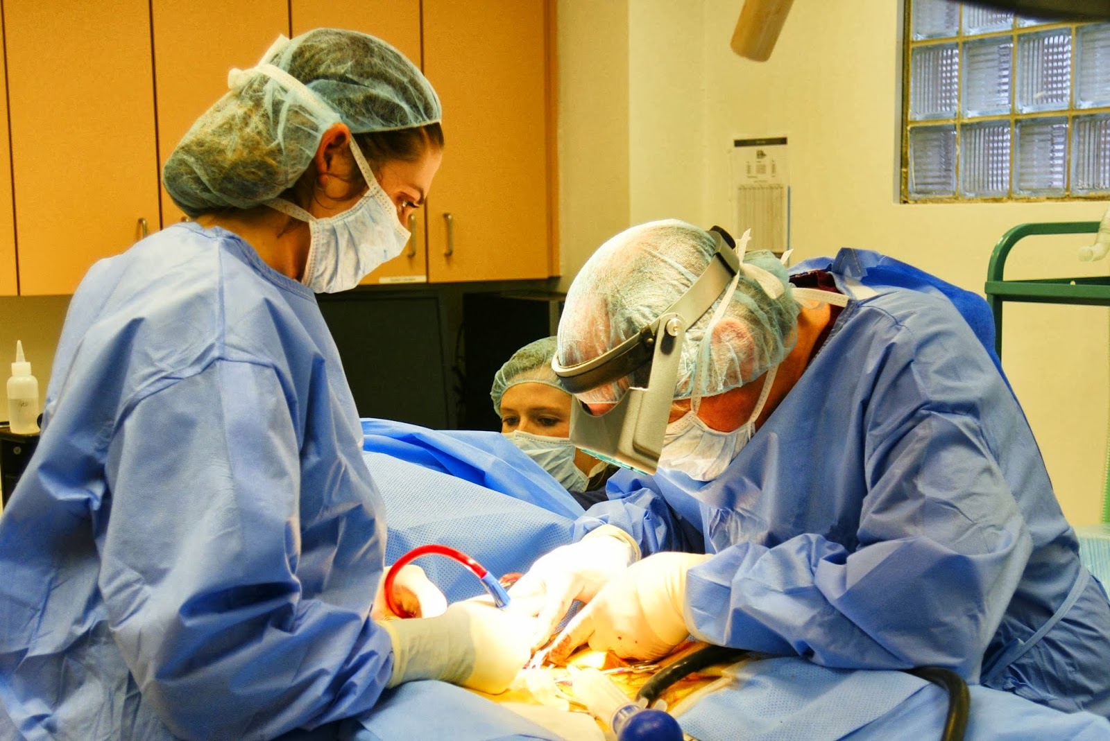 Bluepearl Pet Hospital Des Moines - Des Moines , United States