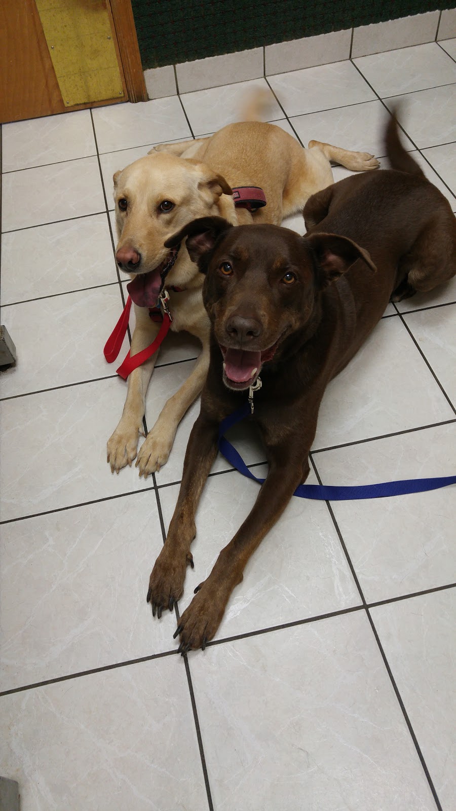 Vca Owasso Animal Medical Center - Owasso , United States