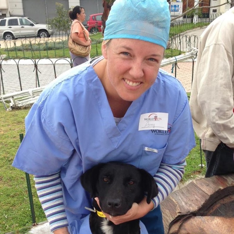 Paws N Hooves Mobile Veterinary Services - El Paso , United States