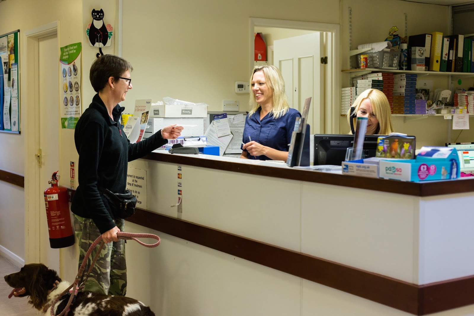 Pelyn Vets - Lostwithiel , United Kingdom