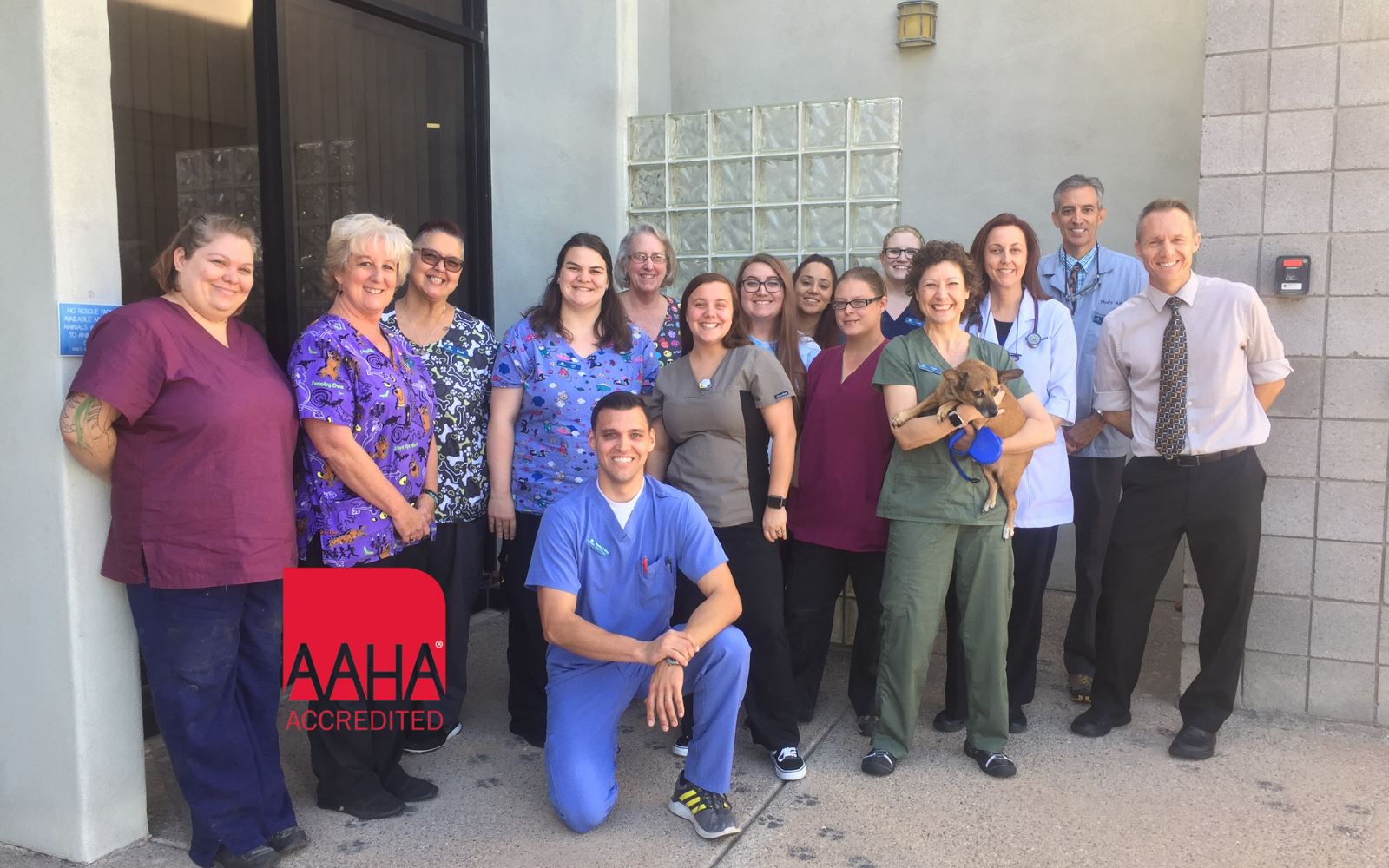 Noes Ark Animal Hospital - Mesa , United States