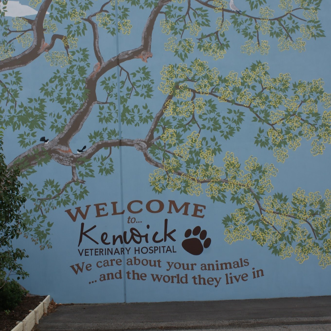 Kenwick Veterinary Hospital And Rehabilitation Centre - Kenwick , Australia