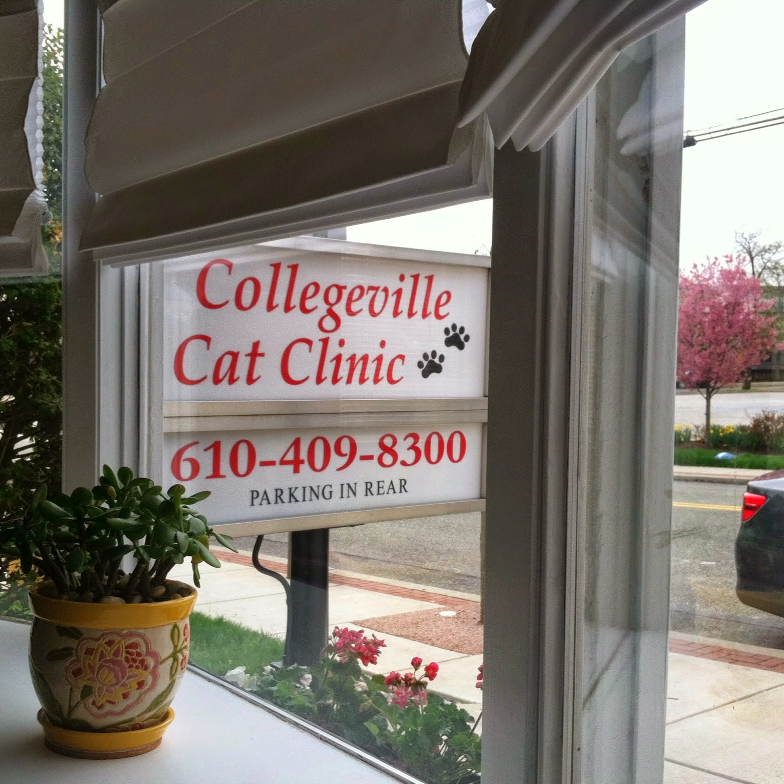 Collegeville Cat Clinic - Collegeville , United States