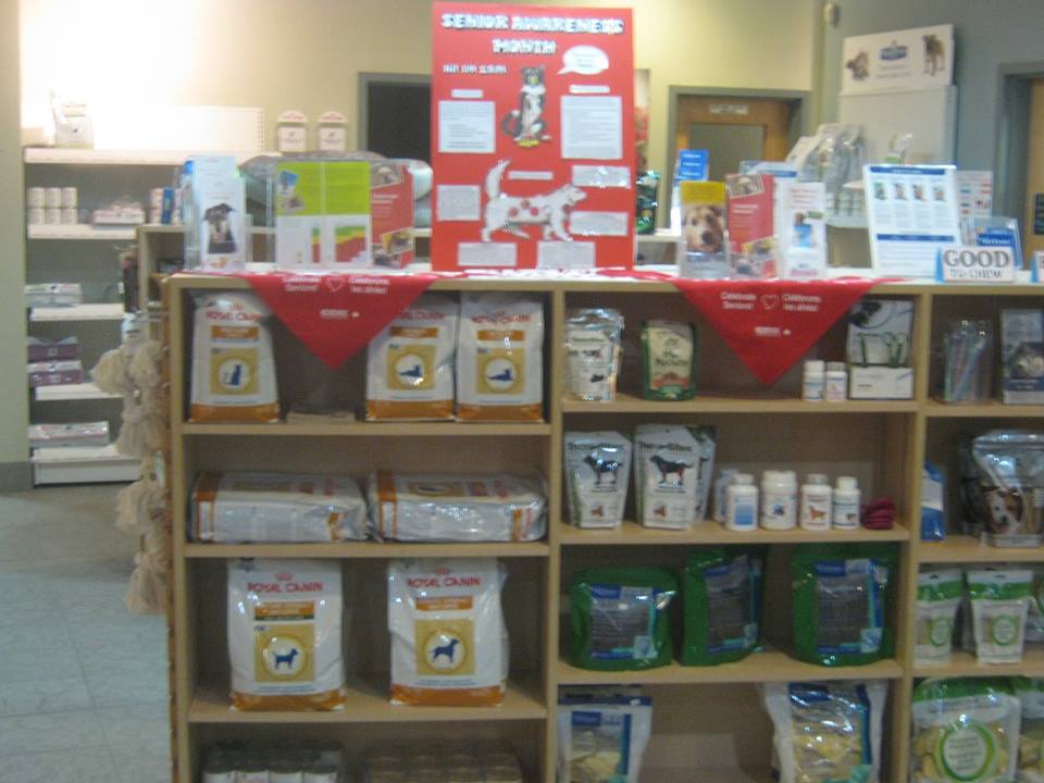 Petworks Veterinary Hospital - Dartmouth , Canada
