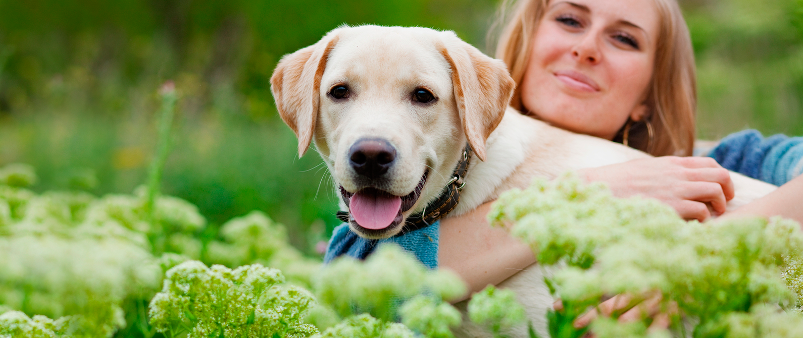 Ibis Animal Hospital - West Palm Beach , United States