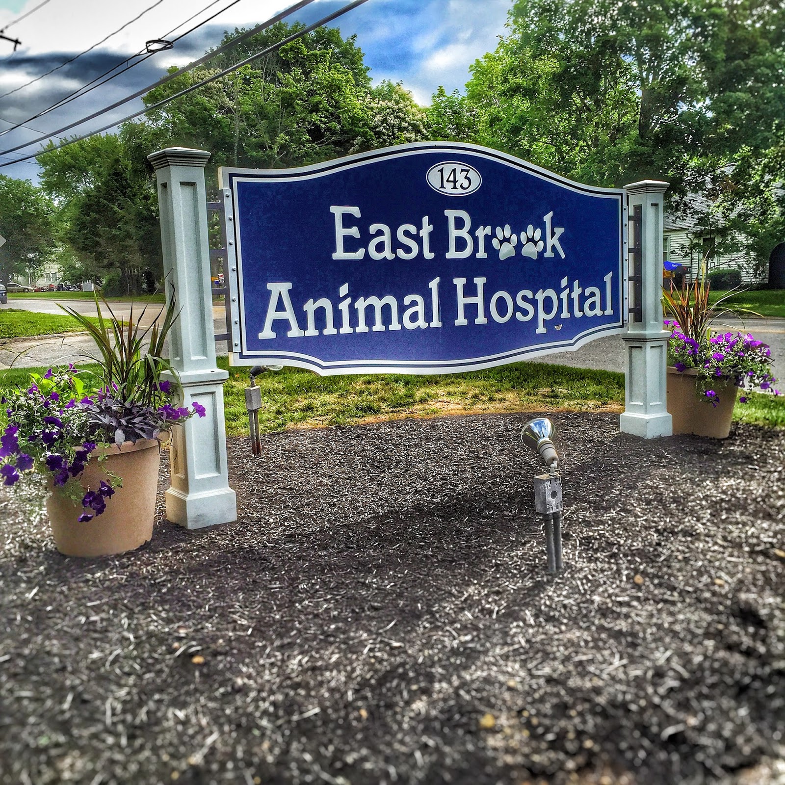 East Brook Animal Hospital - Mansfield Center , United States