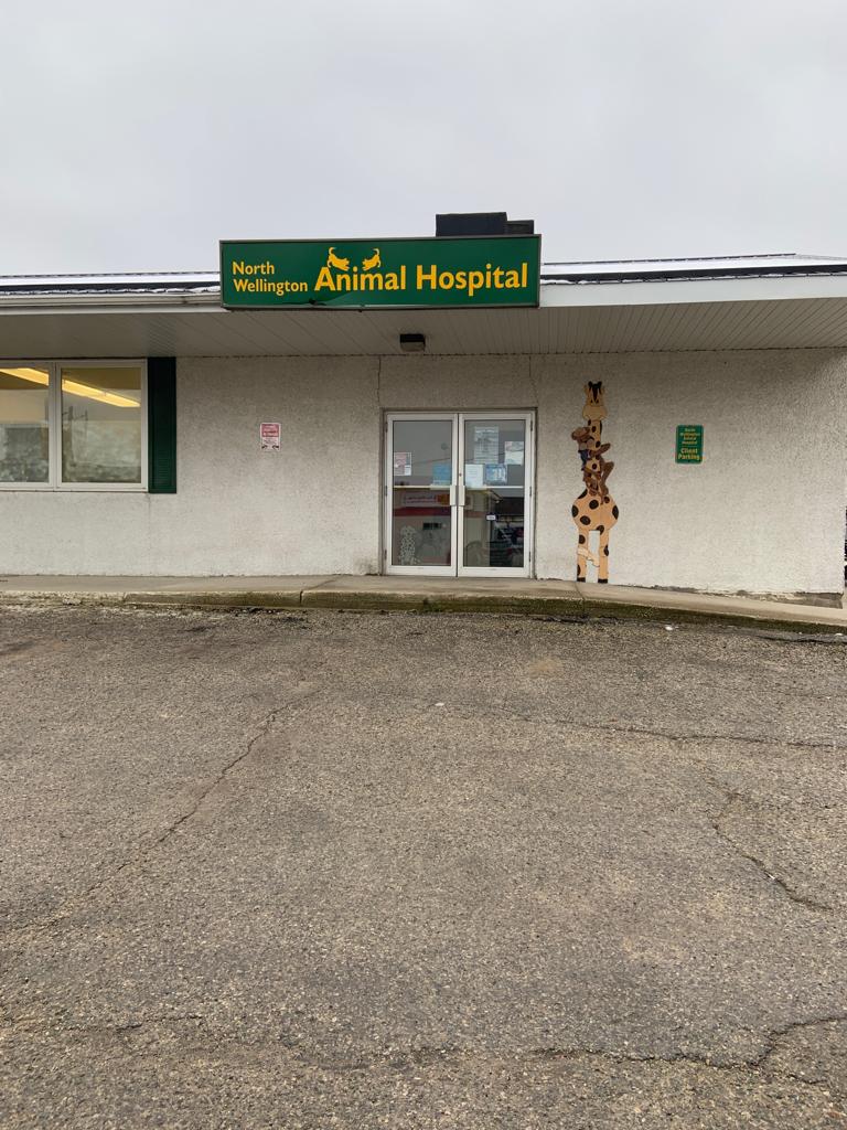 North Wellington Animal Hospital - Mount Forest , Canada