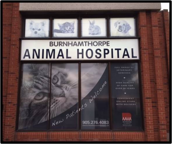 Burnhamthorpe Animal Hospital - Mississauga , Canada