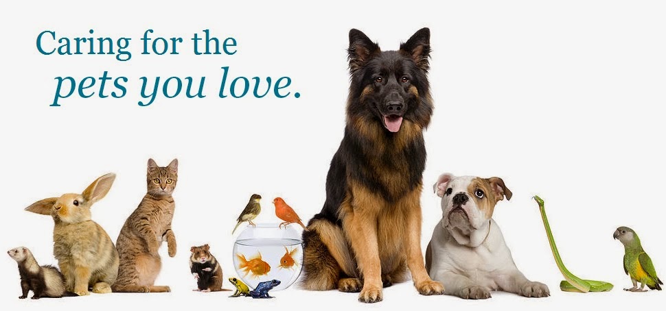 Arcadia Veterinary Hospital - Winston-Salem , United States