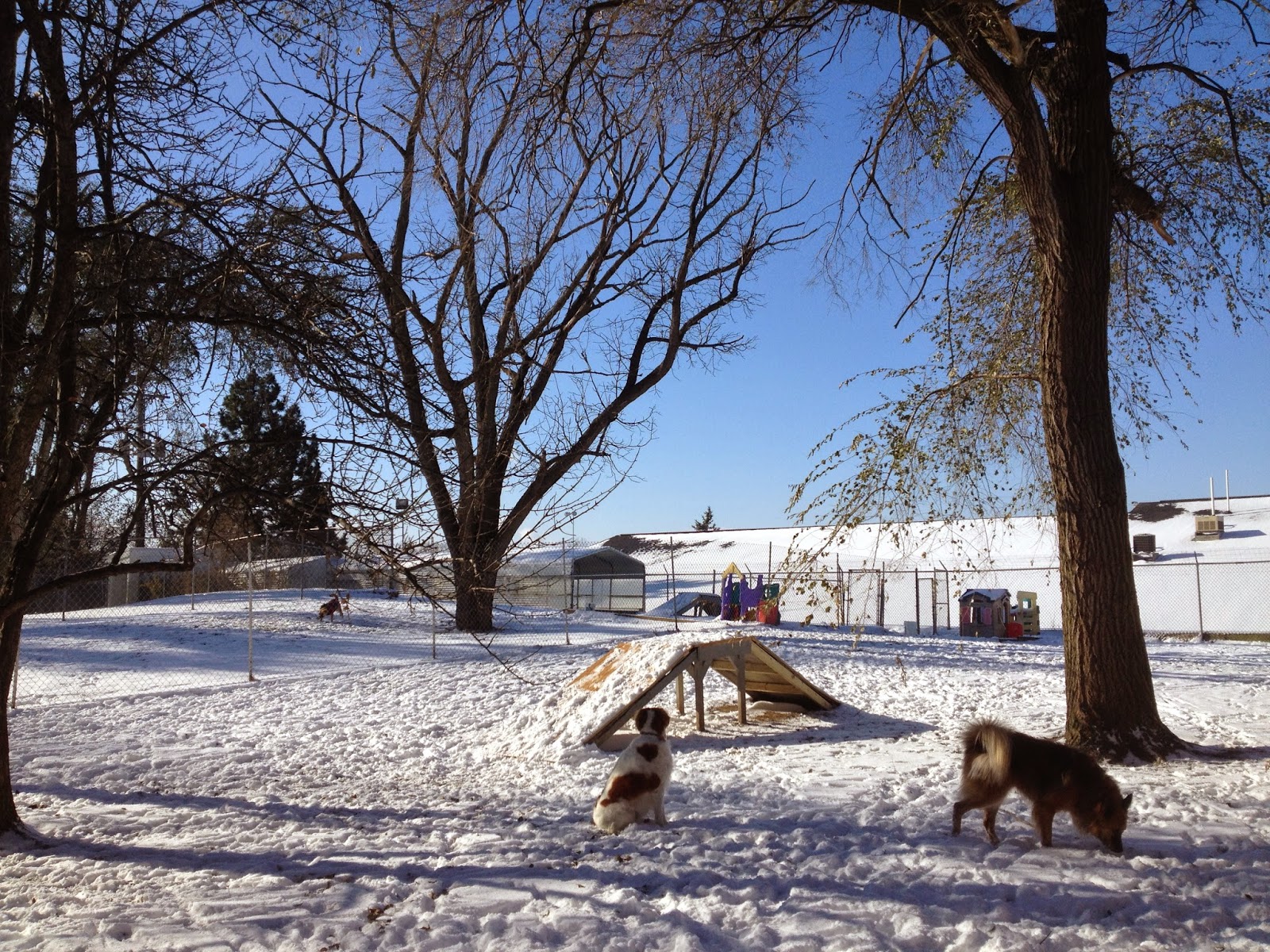 Waverly Animal Hospital Boarding Grooming And Wellness Center - Lansing , United States
