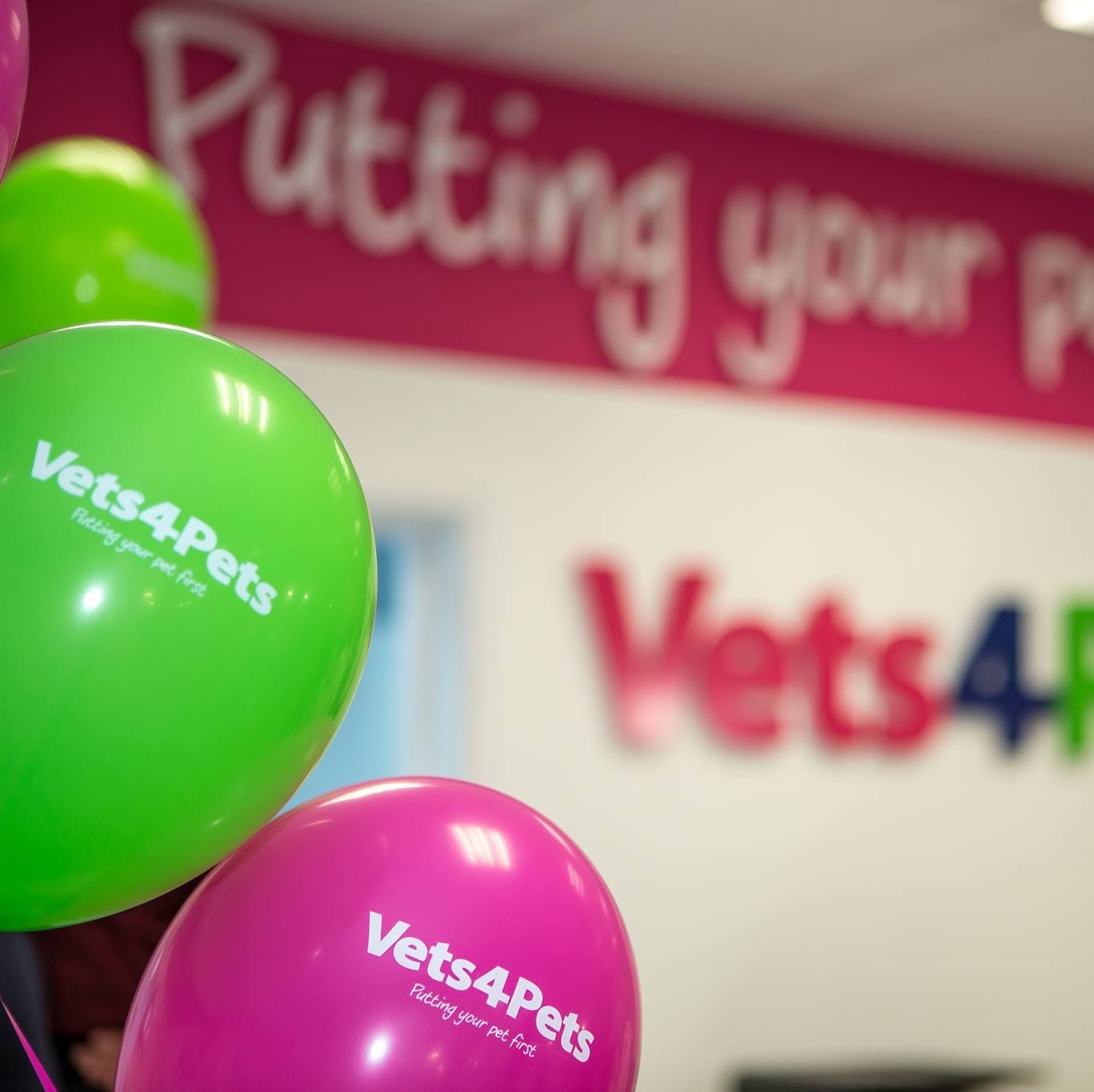 Vets For Pets Letchworth - Letchworth Garden City , United Kingdom