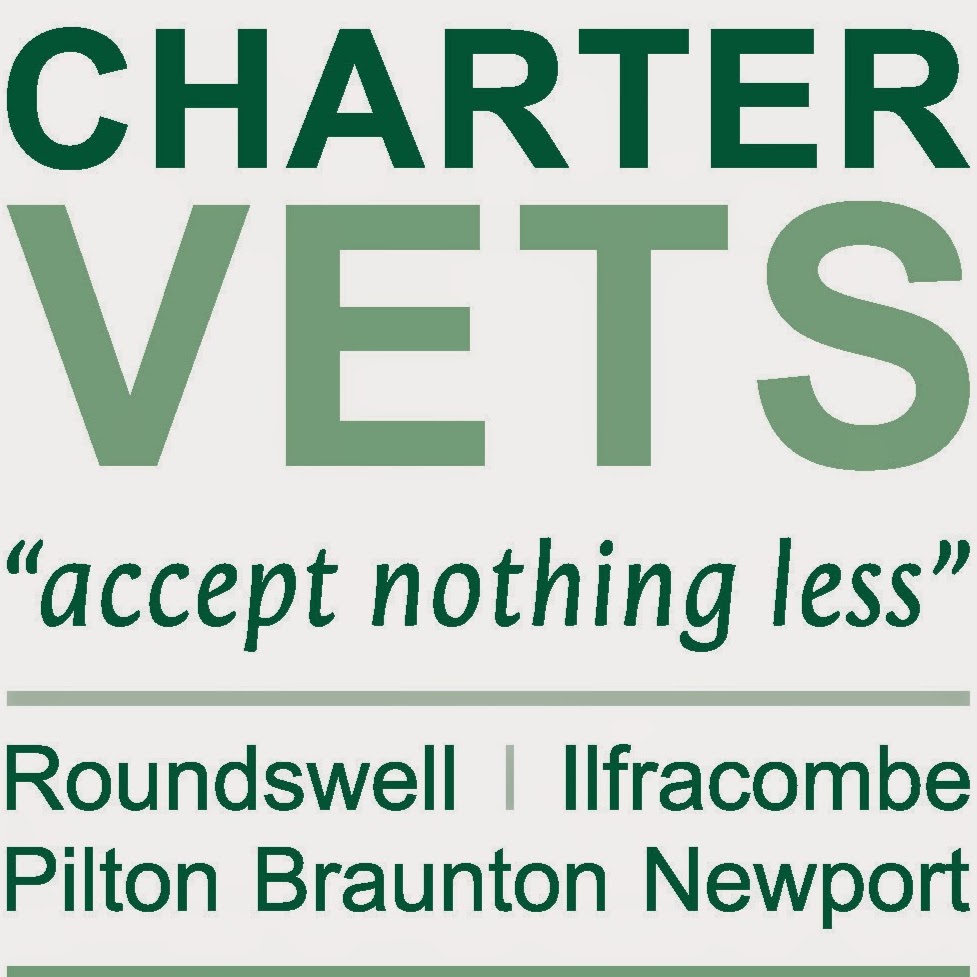 Charter Vets - Barnstaple , United Kingdom