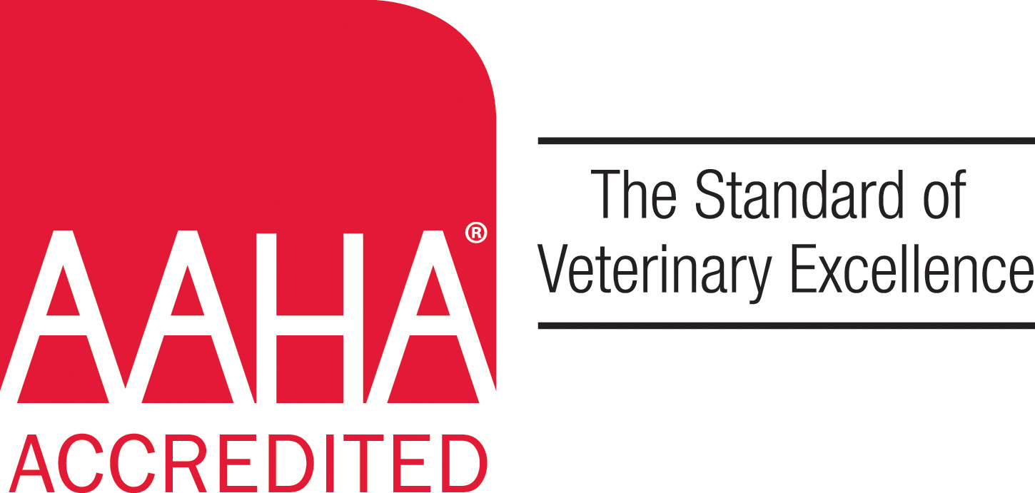 Oporto Animal Clinic - Birmingham , United States