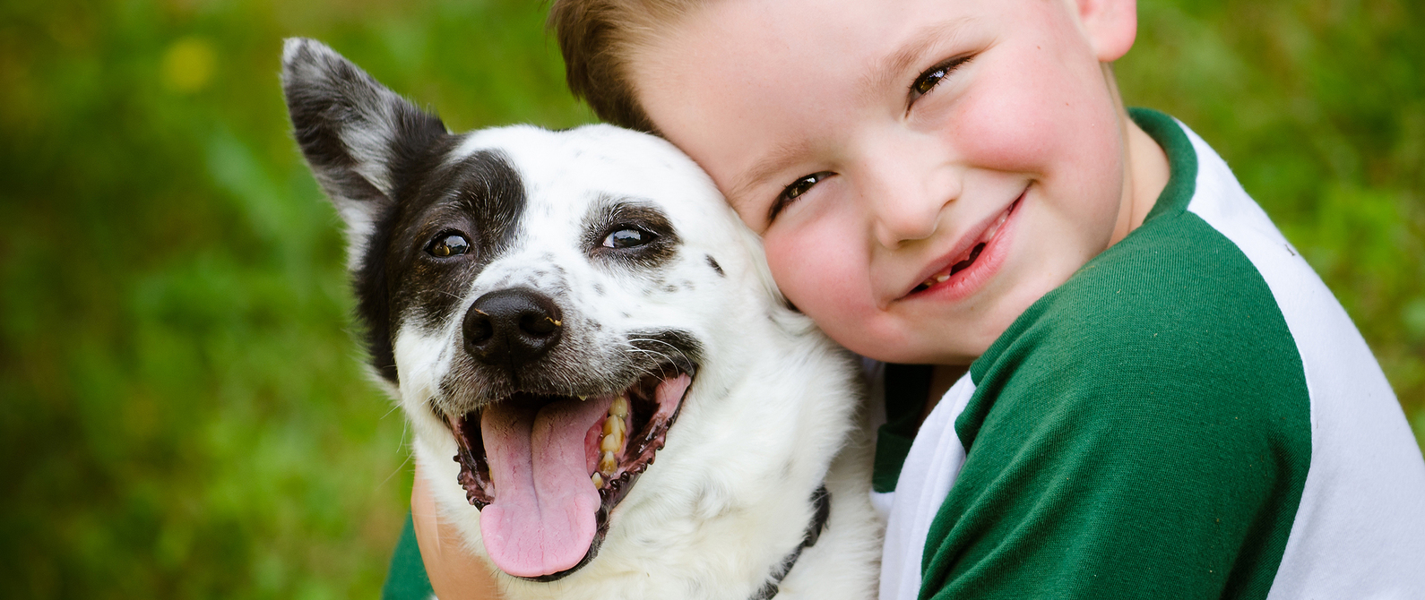 Meadow Brook Animal Clinic - Birmingham , United States