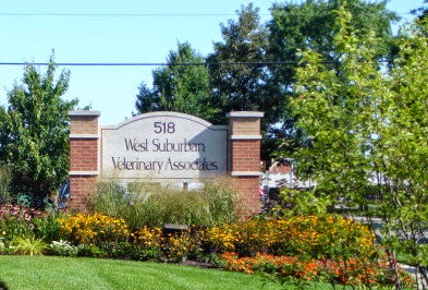 Vca West Suburban Veterinary Hospital - Westmont , United States