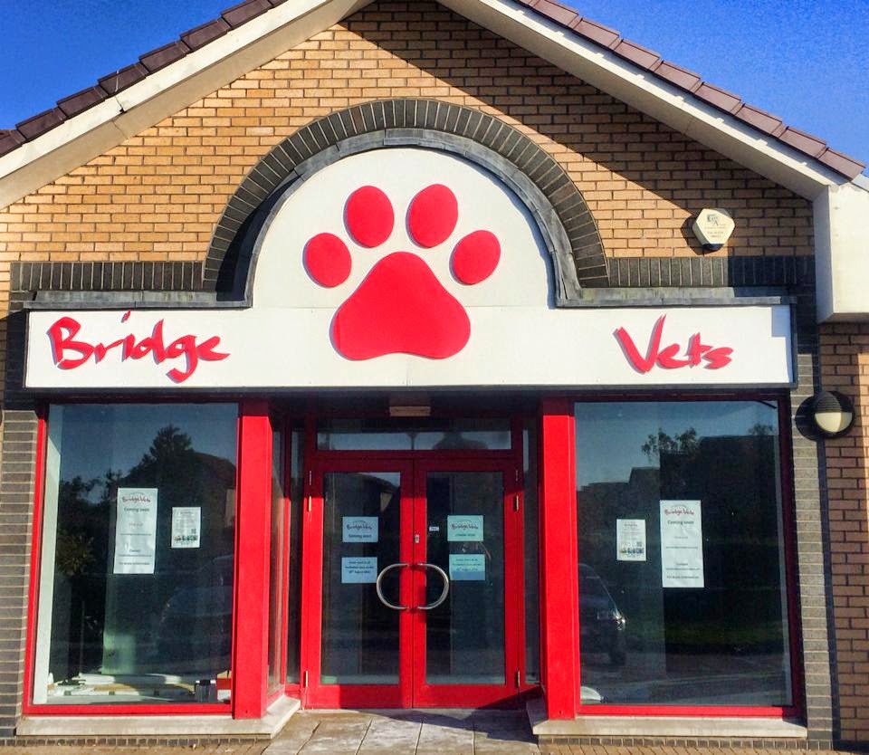 Bridge Vets - Aberdeen , United Kingdom