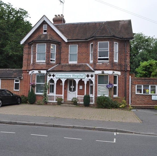 East Grinstead Veterinary Centre - East Grinstead , United Kingdom