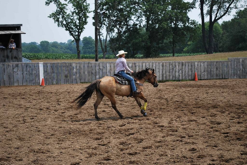 Walkerton Equine Veterinary Clinic - Walkerton , Canada