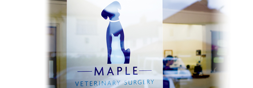 Maple Veterinary Surgery Penketh - Warrington , United Kingdom