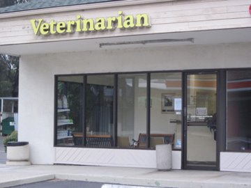 Abbey Clinic For Pets - El Cajon , United States