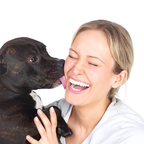 4 Paws Veterinarians Charles St Vet Clinic - Kirwan , Australia
