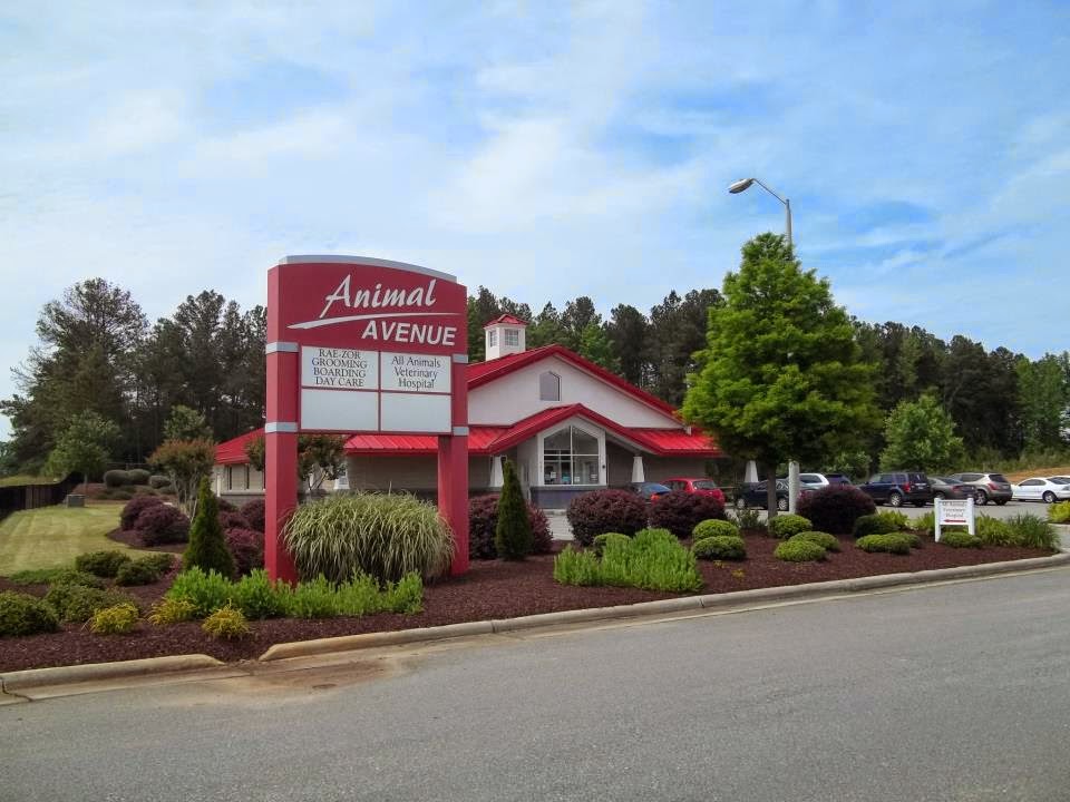 All Animals Veterinary Hospital - Sanford , United States