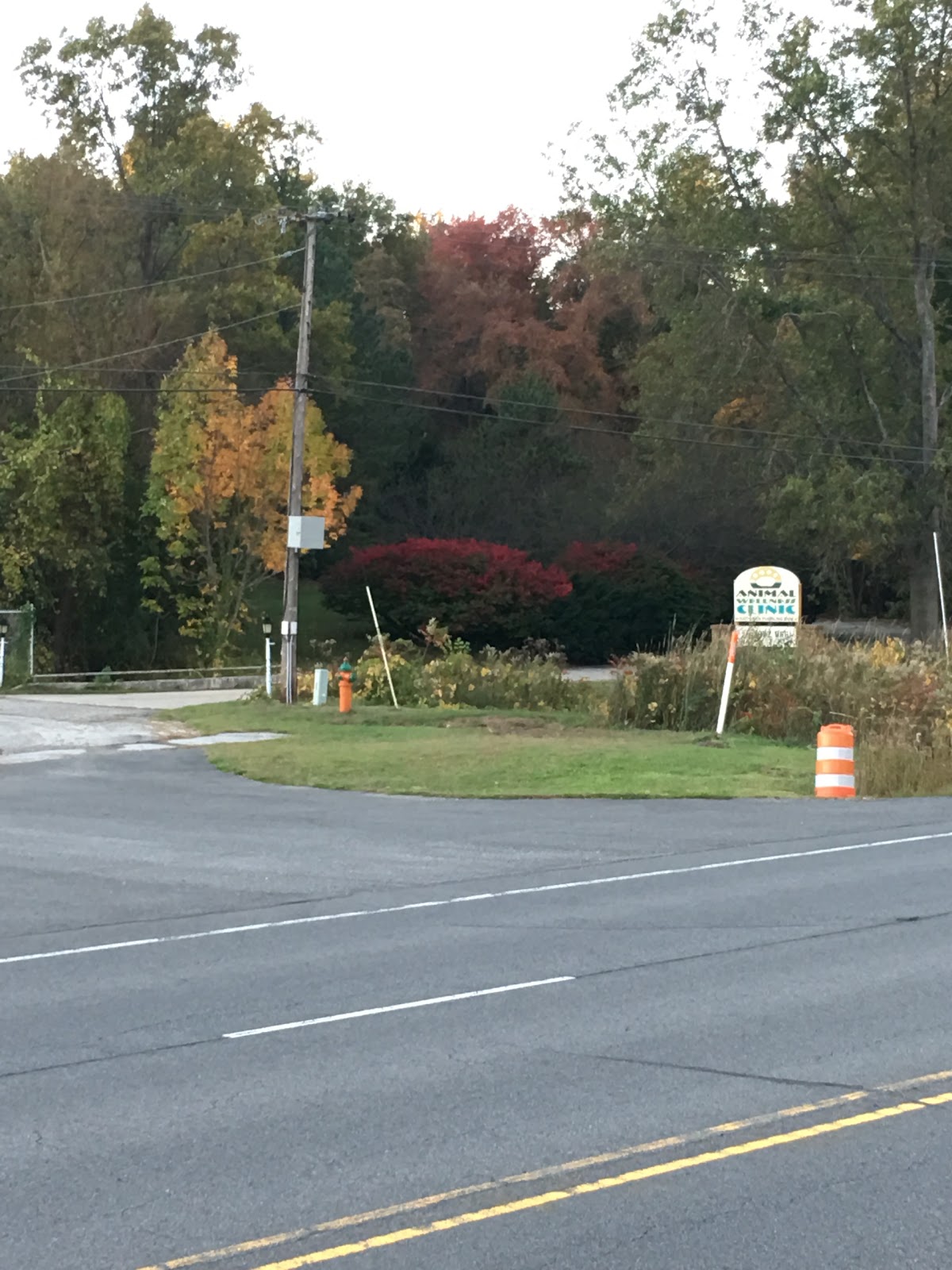 Animal Wellness Clinic - Michigan City , United States