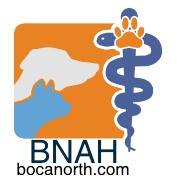 Healthy Pets Veterinary Care Boca North - Boca Raton , United States