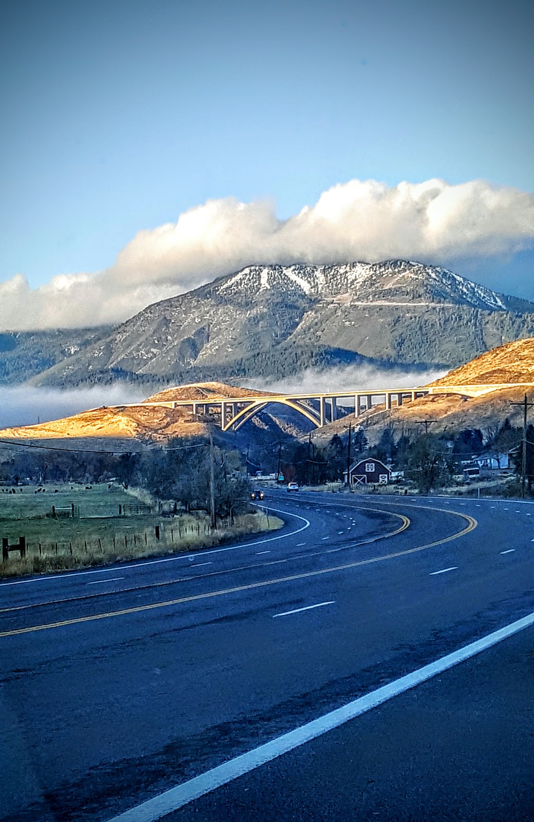 Mc Cartney Susan A Dvm - Reno , United States