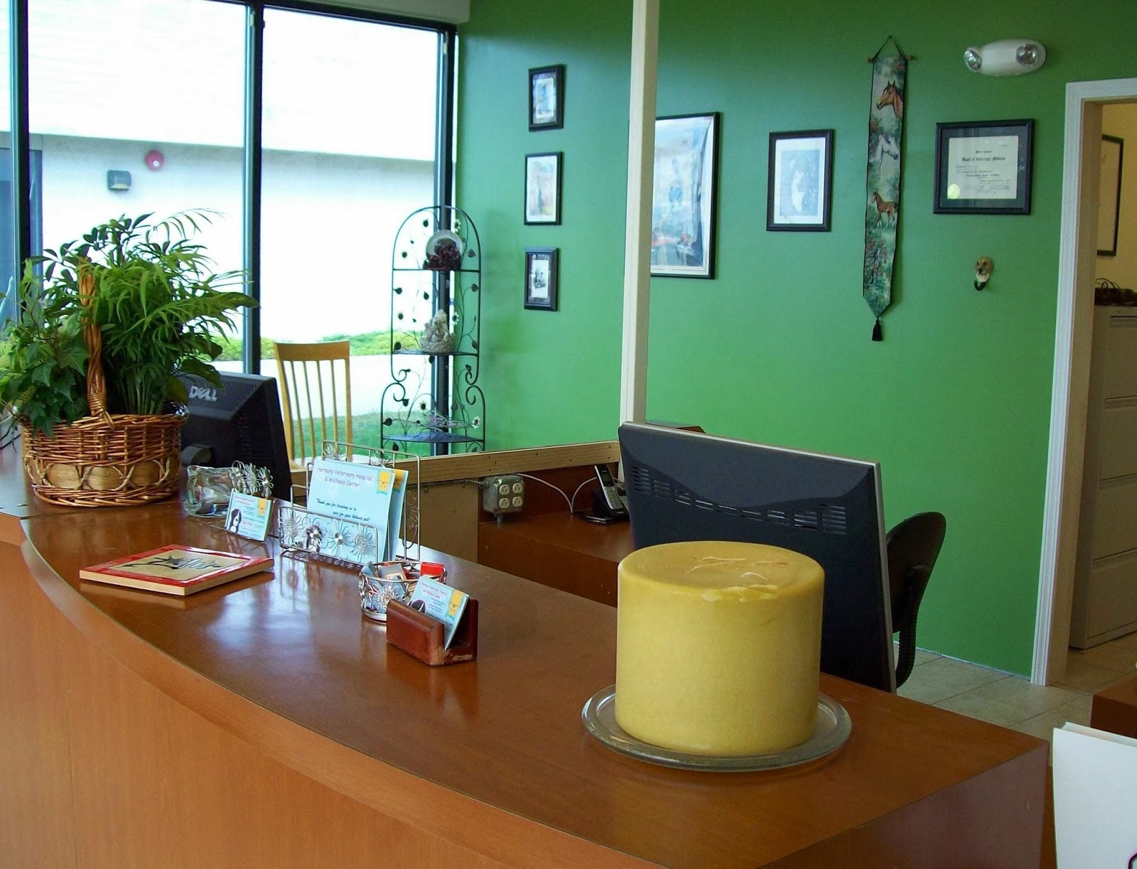 Harmony Veterinary Hospital - Grand Rapids , United States