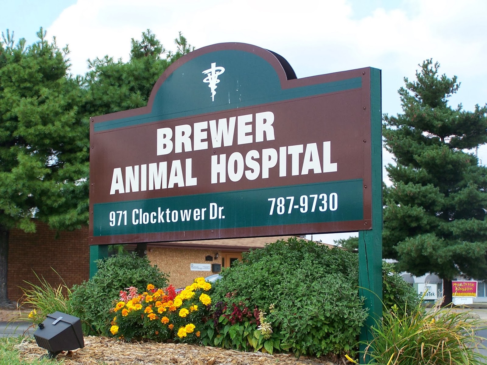 Brewer Animal Hospital - Springfield , United States
