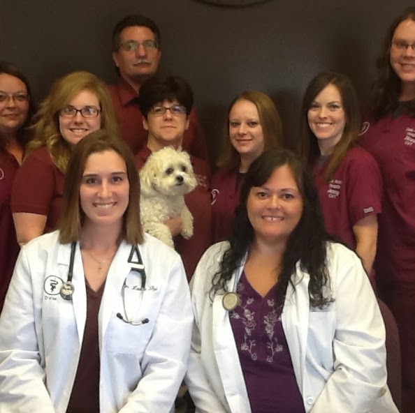 Faithful Friends Veterinary Care - Sioux Falls , United States