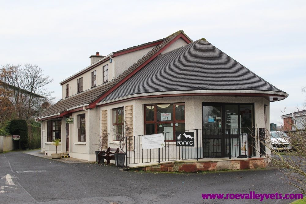Roe Valley Veterinary Clinic - Limavady , United Kingdom
