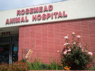 Rosemead Animal Hospital - Rosemead , United States