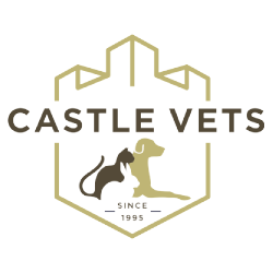 Castle Vets - Clondalkin , Ireland