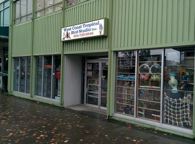 Business's Photo