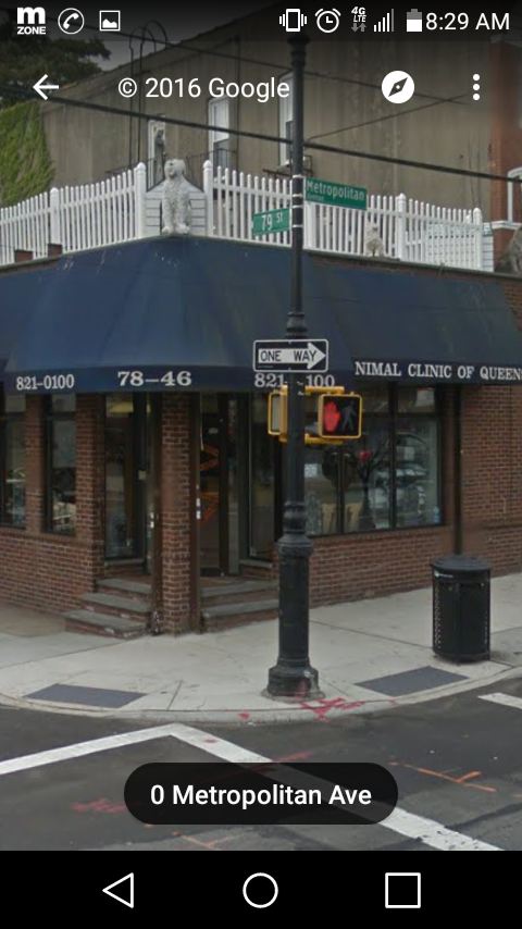 A Animal Clinic Of Queens - Flushing , United States