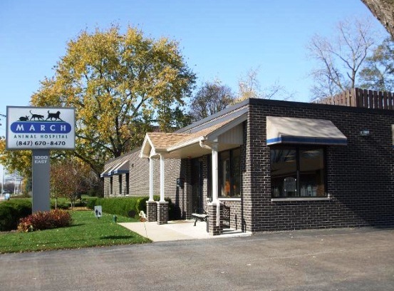 March Animal Hospital - Arlington Heights , United States