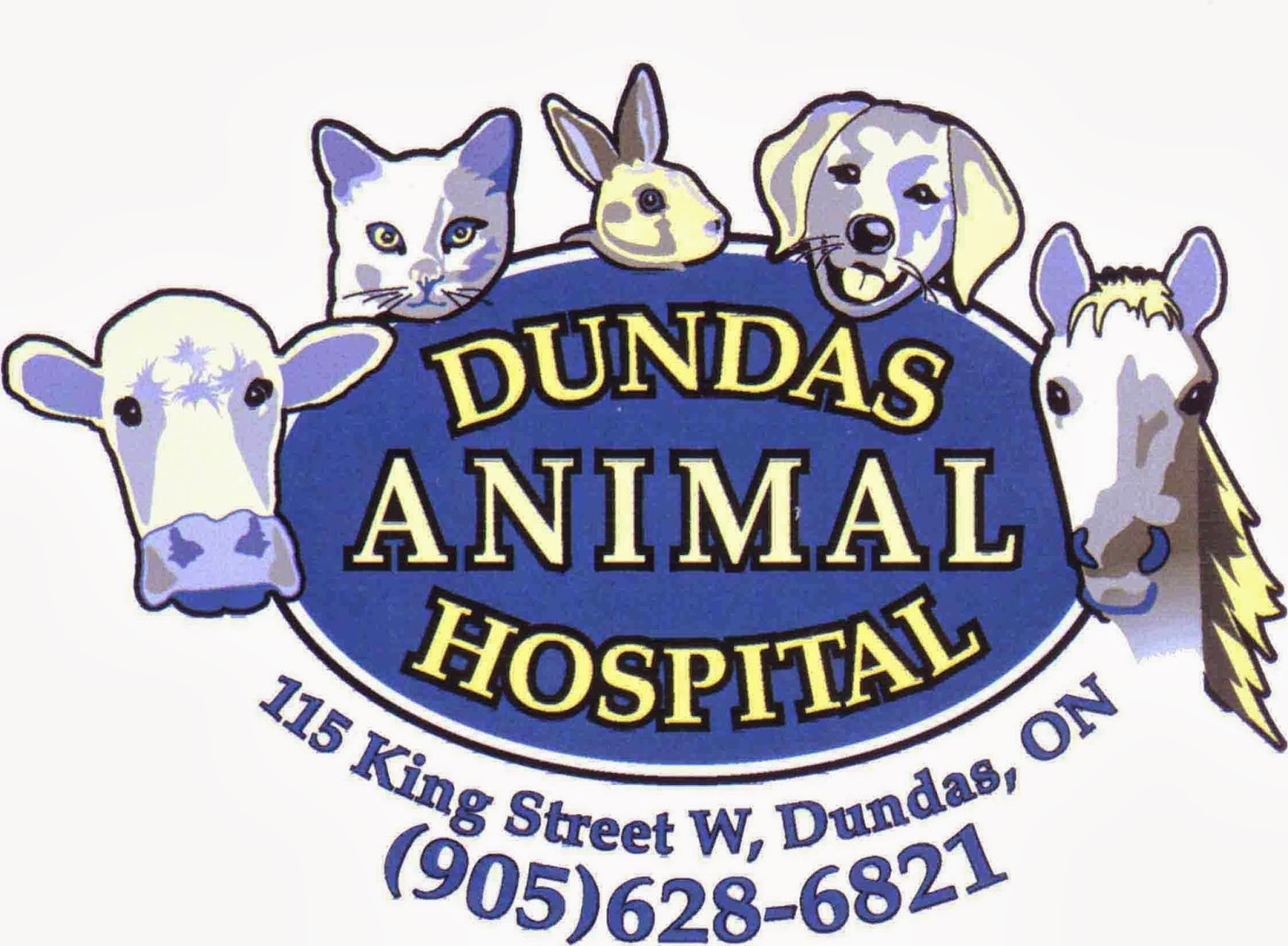 Dundas Animal Hospital - Dundas , Canada
