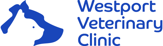 Westport Vets South Queensferry - South Queensferry , United Kingdom