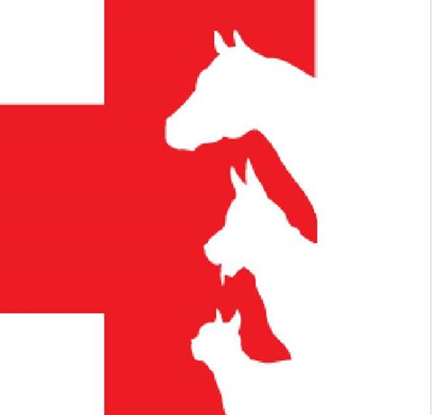 Imperial Road Animal Hospital - Aylmer , Canada